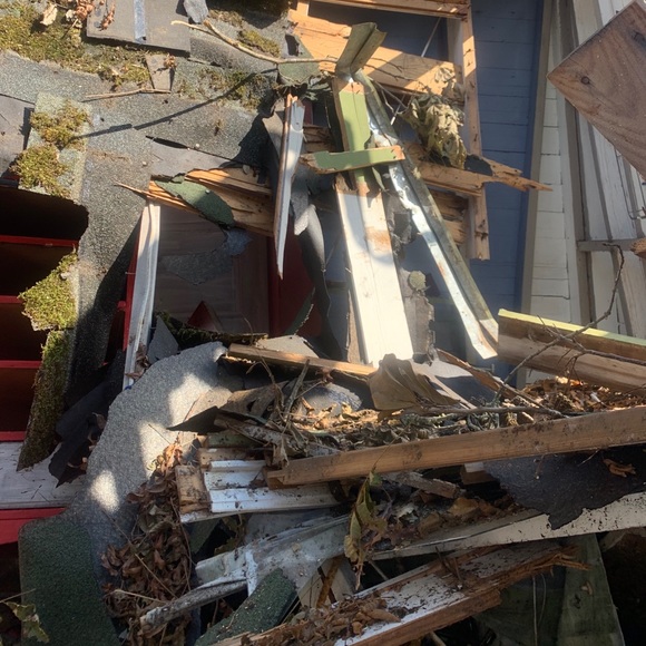 Meet the Posher - Tami - Picture 4 of 8